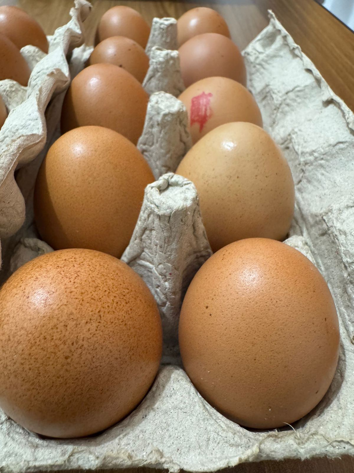quality chicken eggs from Indonesia